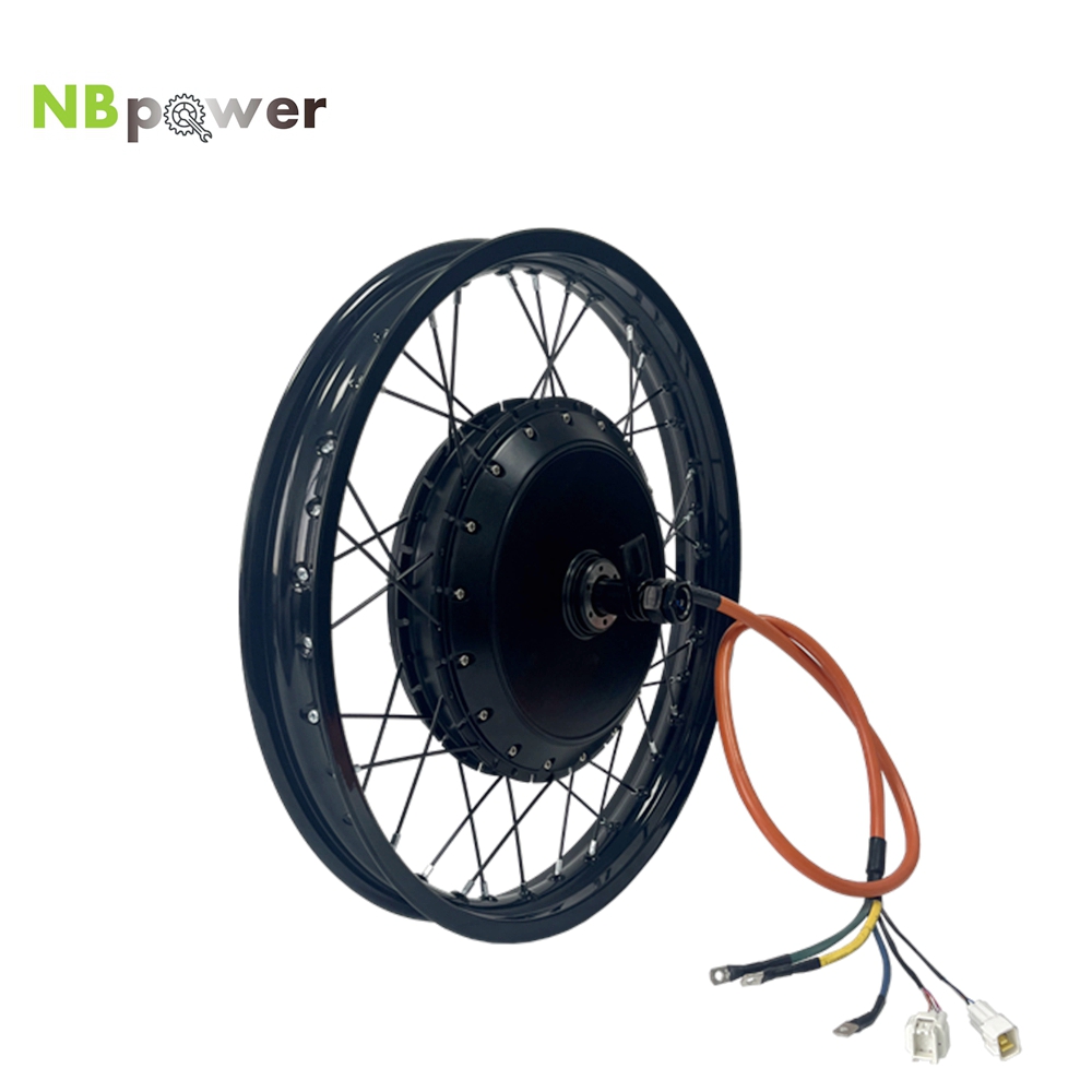 NBpower/170mm Dropout QS 273 4 - Qs Motor 273 8000W Hub Motor recension och pris